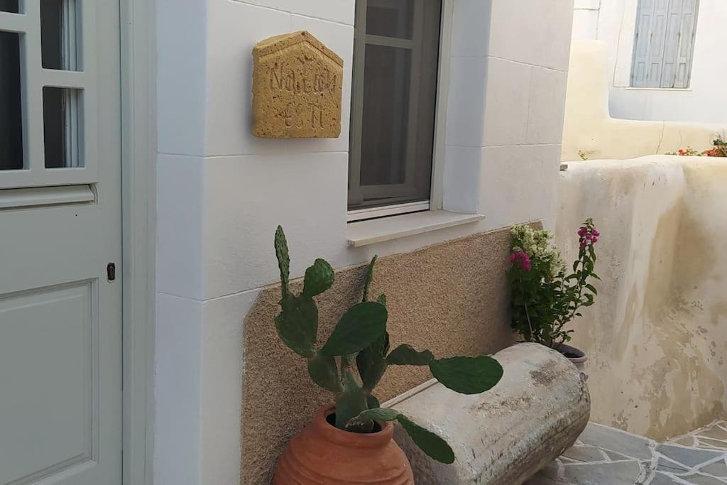 Naxion Esti - Διαμονή Στην Παλιά Χώρα Της Νάξου Villa Naxos City Exterior photo
